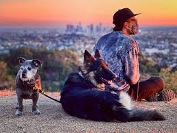 𝗭𝗮𝗰𝗵 𝗤𝘂𝗶𝗻𝘁𝗼 𝗠𝗮𝗴𝗶𝗰 — Bad news… Zach has suspended or deleted  his...