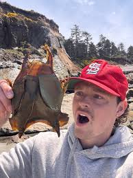 Trying to find the post with the egg pods in the water… anyone save that?