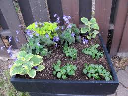 Vous souhaitez aménager votre jardin, vos terrasses et vos balcons ? Une Jardiniere A L Ombre Quelles Plantes