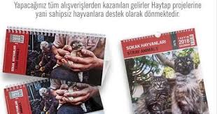 Bir Takvimle Neleri Degistirebilirsiniz Stardogs Hayvan Haklari Hayvan Hayvanlar