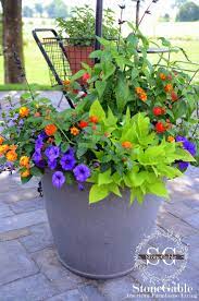The Anatomy Of A Flower Pot Stonegable Container Gardening Patio Flowers Home Vegetable Garden