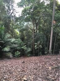 Easy morning hike in setia eco park shah alam» (setia alam community trail). The Trail Picture Of Setia Alam Community Trail Shah Alam Tripadvisor