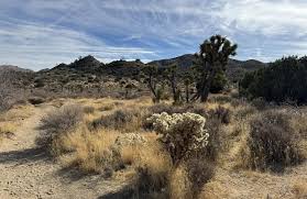 Black Rock Canyon, Fault Line, and California Riding and Hiking Loop,  California