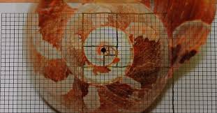 Anleitung Eine Fibonacci Spirale Konstruieren Und Zeichnen