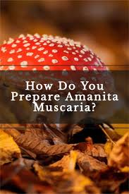 Scott Cubbage (scott_cubbage)