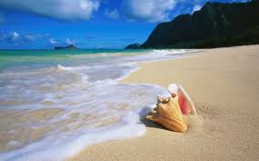 Beach Wallpaper Hd Wallpaper Download Of Beach 1600x1000 Wallpaper Teahub Io