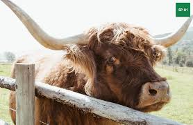 To get the preset just click on the download button just navigate to where you have your presets saved on your computer and click on the folder that holds. Download 40 Free Must Have Vsco Lightroom Presets 2020 Homiesfoto