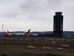 Maybe you would like to learn more about one of these? El Aeropuerto De Ciudad Real Permanece En La Lista De Morosos De Hacienda Miciudadreal Es Diario Digital Ciudadano De La Provincia De Ciudad Real