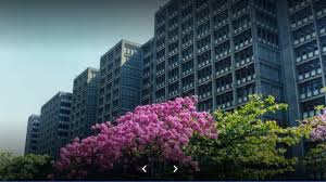 It is one of the largest and most prestigious universities in the country. Concurso Uerj Rj Edital Para Tecnico Ti Com Salario De R 3 550 Confira Os Detalhes