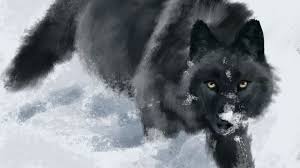 Right now we have 79+ background pictures, but the number of images is growing, so add the webpage to bookmarks and check it later! Wallpaper Wolf Snow Art Animal Black Hd Picture Image