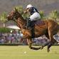 STANDARD BANK POLO TEST MATCH event image