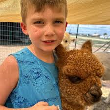 Fun visit with the alpacas. 🌞⛱️