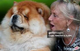 49 Barbara Spitz Stock Photos, High-Res Pictures, and Images