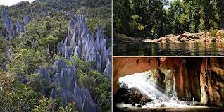 This page provides the list of protected areas and pictures associated with the facilities and activities available in each area. 5 Scenic National Parks Found In Malaysia Johor Now