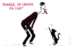 Epingle Par Ifp Varsovie Sur Paris Je T Aime Expression Imagee Expressions Francaises Phrases En Francais