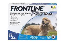 Best Flea Treatments For Cats And Dogs 2021 Reviews By Wirecutter