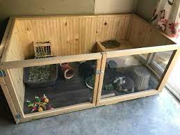 19 Blue Clover Rabbitry Ideas Cute Animals Bunny Clover