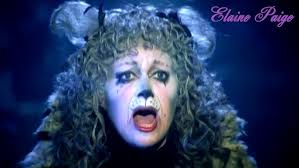 Miguel Gil, Joe Verga, Owen Raynor, Jack Dossett