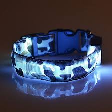 Should you buy or avoid this affordable light up dog collar? Cat Dog Collar Glowing Pet Collar Led Lights Adjustable Retractable Waterproof Safety Camo Camouflage Nylon White Yellow Red Blue Pink 1700683 2021 4 79