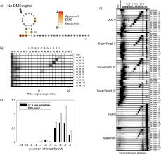 (separate archives for each floor type) decide, which modifications you like best and download the corresponding archives. Anomalous Reverse Transcription Through Chemical Modifications In Polyadenosine Stretches Biorxiv