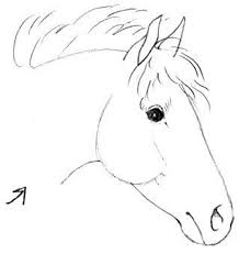 Simple Horse Face Drawing Horse Drawings Drawings Horse Art