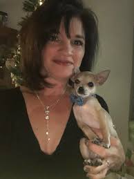Introduction of new Chihuahua owner and pet in Chihuahua community