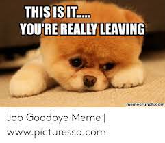 Doge (often /ˈdoʊdʒ/ dohj, /ˈdoʊɡ/ dohg, /ˈdoʊʒ/ dohzh) is an internet meme that became popular in 2013. Thisis It You Re Really Leaving Memecrunchcom Job Goodbye Meme Wwwpicturessocom Meme On Me Me