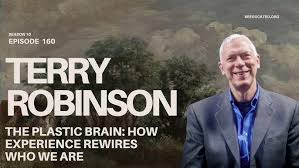 The Plastic Brain: How Experience Rewires Who We Are | Terry Robinson | Re-Educated Podcast #160