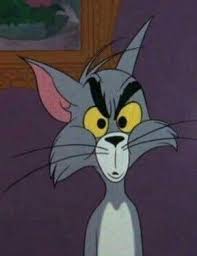 When A B Tch Think They Right Tom And Jerry Memes Cartoon Wallpaper Cartoon Profile Pictures Tons of awesome tom & jerry wallpapers to download for free. pinterest