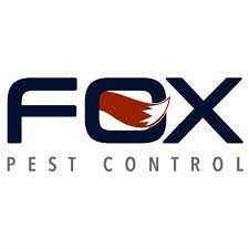 Whether it is ants, roaches, mice, bees, spiders or termites, the team at stampede pest control can help your home stay a pest free zone. Fox Pest Control Home Facebook