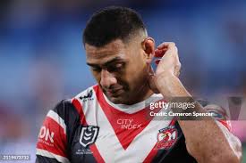1,127 Roosters Daniel Tupou Stock Photos, High-Res Pictures, and Images