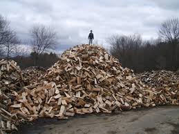 All firewood logs are moisture metered to insure. How To Find Free Fuel For A Wood Burning Stove Toughnickel Money