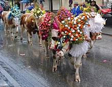 Almabtrieb Wikipedia