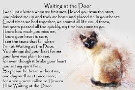  Beautiful Siamese Cat Memorial Pet Loss Bereavement Rainbow Etsy Pet Quotes Cat Pet Grief Pet Loss Grief