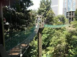 Di sini tempat yang sesuai untuk anda. Kl Forest Eco Park Jungle In The City