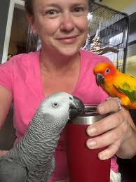 Good morning from the parrots sharing tea
