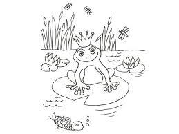 Desenho De Um Sapo Para Colorir