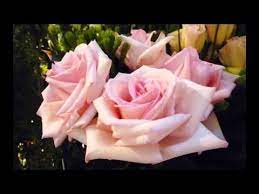 Bridal Chorus By Wagner Here Comes The Bride Piano And Flute Instrumen Instrumental Wedding Music Wedding Ceremony Music Traditional Wedding Ceremony Music