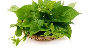 We did not find results for: Cara Mengolah Daun Ubi Jalar Yang Enak Berikut Tipsnya Lifestyle Fimela Com
