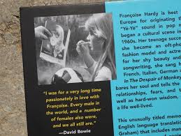 Chansons françaises de légende : Musikgeschichte Blick In Die Autobiografie Von Francoise Hardy Kulturmagazin