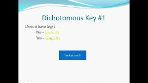 How To Use A Dichotomous Key Dichotomous Key Science Biology