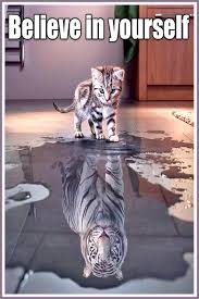 Scaravelli Yoga Cute Animals Animals Pets