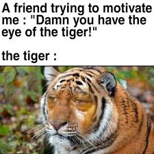 Pin By Elfyau On Dark Humor Funny Memes Funny Memes Images Funny Relatable Memes