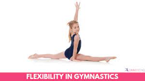 Before i get down voted to if there is a difference in tendon flexibility in women, this would help explain why the body can sustain such a difference. Flexibility In Gymnastics Why It S Important And How To Improve It