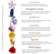 And as the english language is so limited, there is no. Flower Essences For The Chakras Flower Essences Healing Flowers Bach Flower Remedies