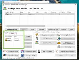 Image result for softether vpn server GUI