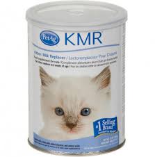 Pengganti susu untuk anak kucing akan membantu menyelesaikan masalah ini. 5 Pilihan Susu Untuk Bayi Kucing Dan Cara Memberikannya Pintarpet