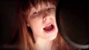 Jodi Picoult · Lone Wolf (2012)