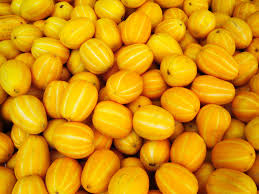 Dogs can eat cantaloupe and other melons safely in small quantities. The Korean Melon The Most Korean