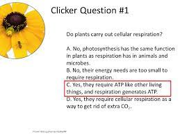 C6h12o6 + 6o2 6co2 + 6h2o + energy respiration is the means to turn carbs into usable chemical energy (atp) for many other plant reactions including ps all living plant and animal cells carry out. How Cells Release Energy Ppt Download